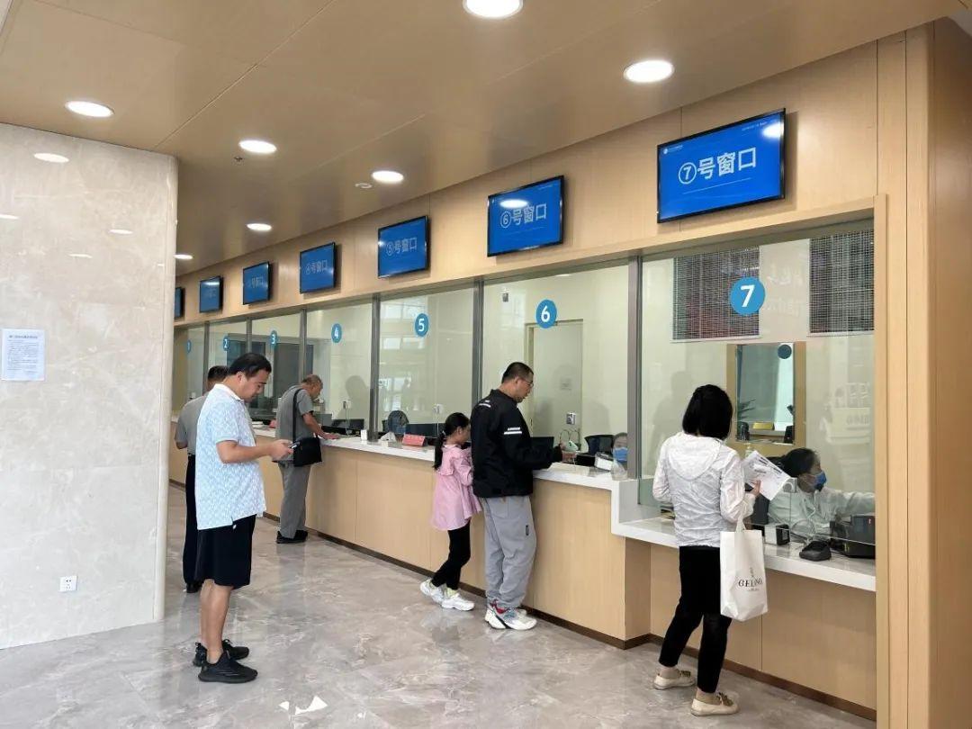 新門內(nèi)部資料免費(fèi)下載——探索與揭秘，新門內(nèi)部資料揭秘，免費(fèi)下載與探索之旅