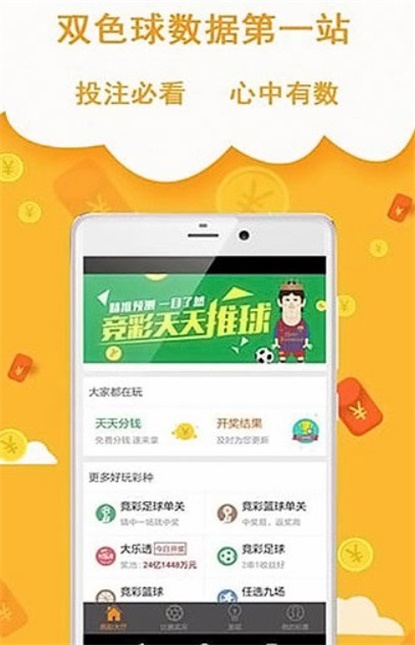 王中王493333中特網，探索與解析，王中王493333中特網，深度探索與解析