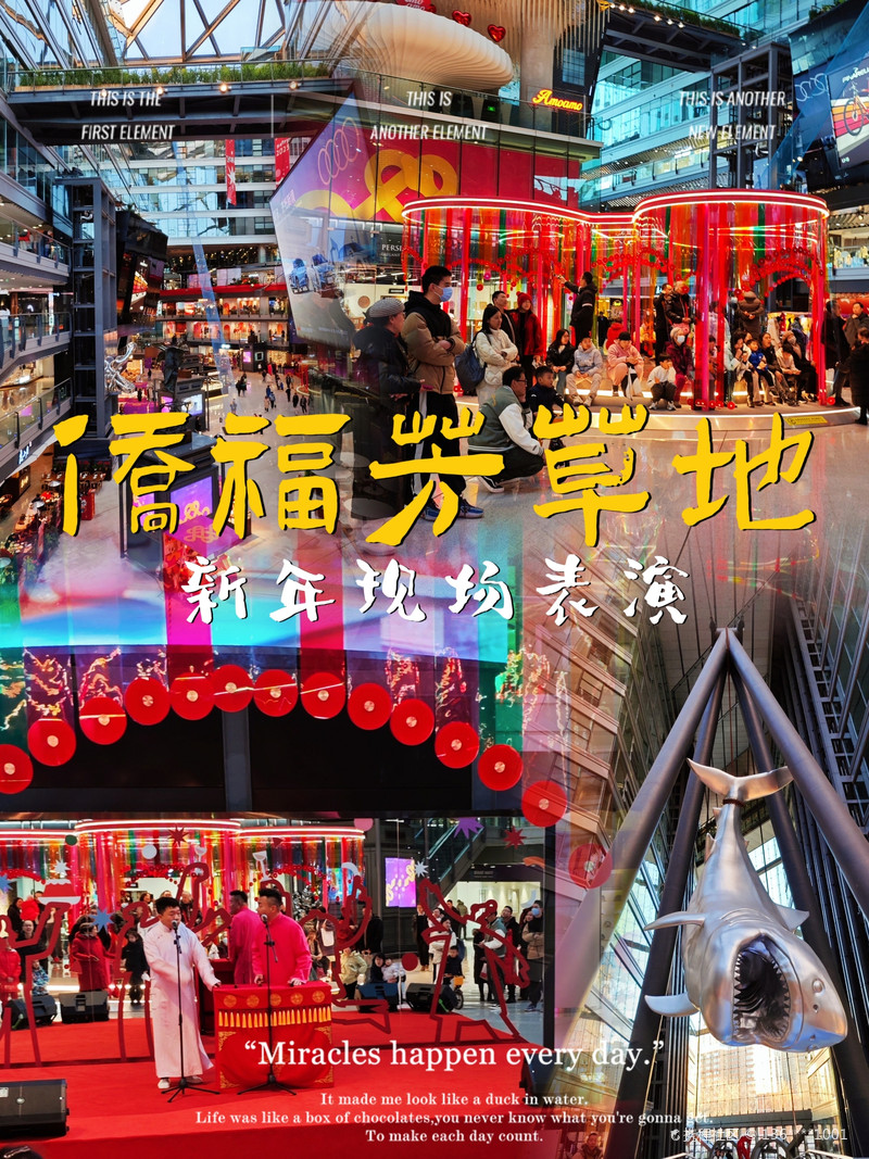 最新揭秘，2024新澳芳草地全方位資料詳解，揭秘2024新澳芳草地全方位資料，最新詳解