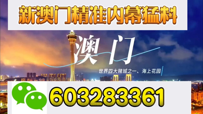 新澳門今晚開獎結(jié)果揭曉，探索彩票背后的秘密與期待，新澳門今晚開獎結(jié)果揭曉，彩票背后的秘密與期待揭曉之夜
