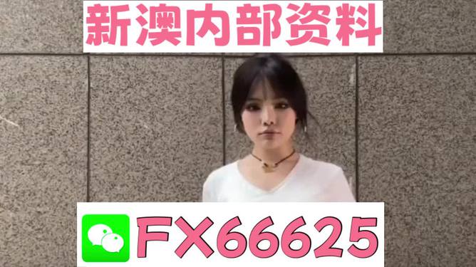 澳門資料大全正版資料查詢，探索澳門的文化與歷史深度之旅，澳門文化與歷史深度探索，正版資料大全及查詢指南