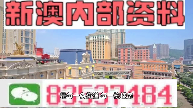 新澳門最精準正最精準龍門——探索澳門的魅力與機遇，澳門魅力與機遇探索，新澳門最精準龍門