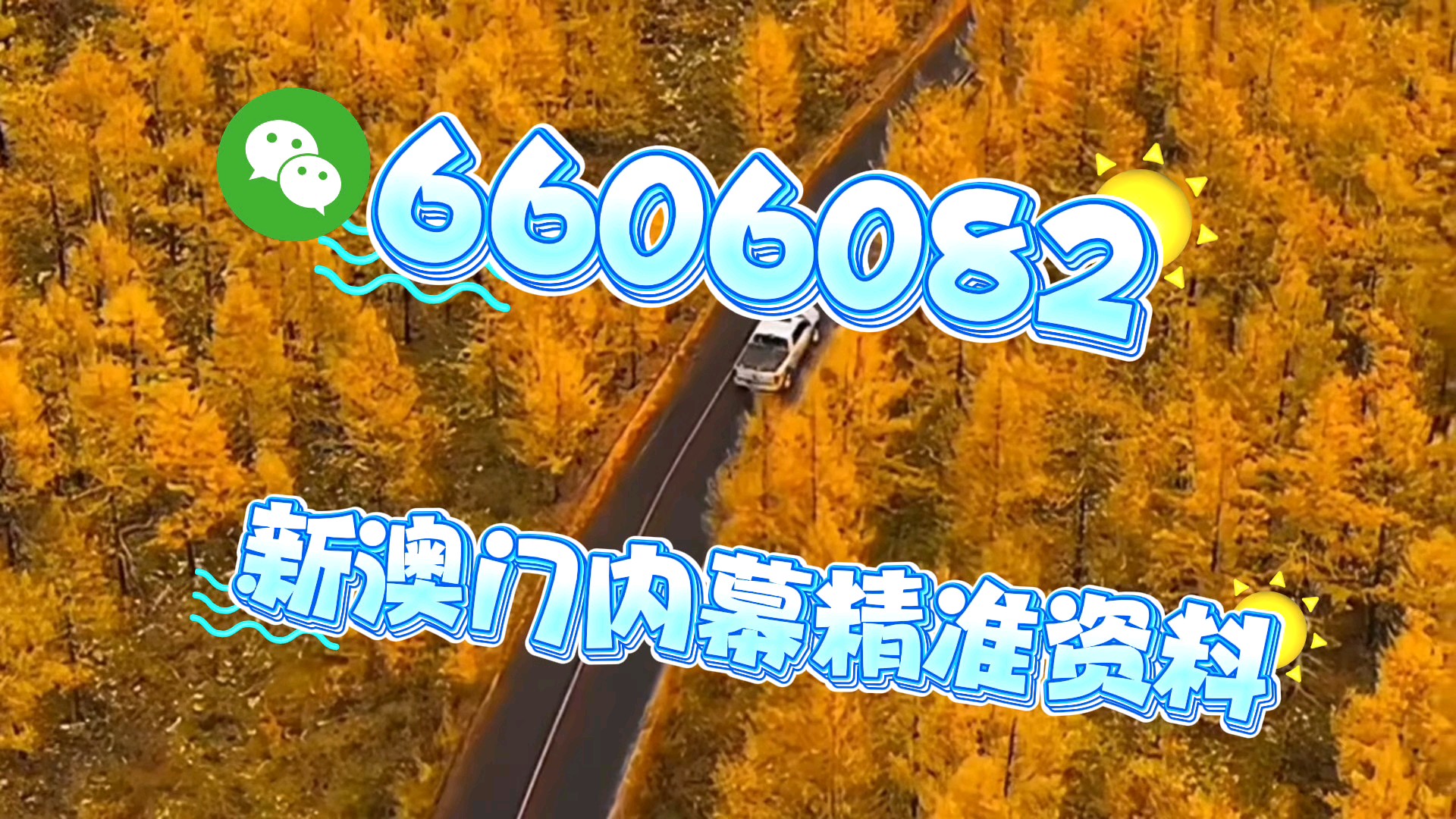 新澳門一肖一碼中恃馬，探索與解析，澳門一肖一碼中恃馬，探索與解析