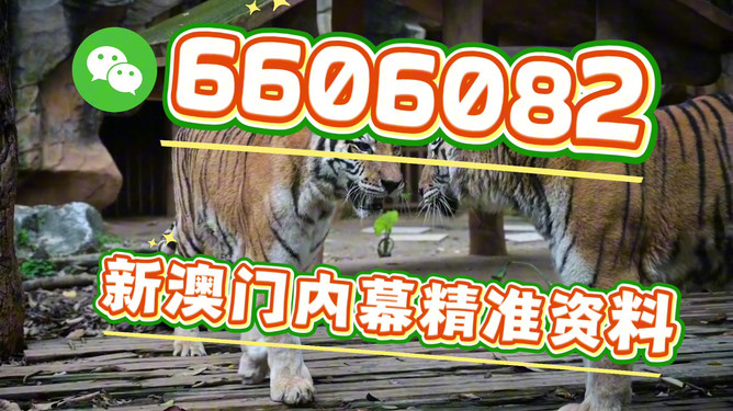 澳門今晚必開一肖一特，深度解析與預(yù)測，澳門今晚生肖特碼深度解析與預(yù)測，一肖一特必開趨勢探討