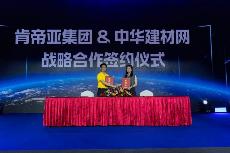 中國戰(zhàn)略網(wǎng)官網(wǎng)SEO文章，中國戰(zhàn)略網(wǎng)官網(wǎng)SEO策略與技巧詳解