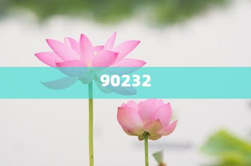 揭秘2025新澳天天開(kāi)好彩大全第78期精彩瞬間，掌握彩票秘籍！，揭秘第78期新澳天天開(kāi)好彩精彩瞬間，彩票秘籍大揭秘！