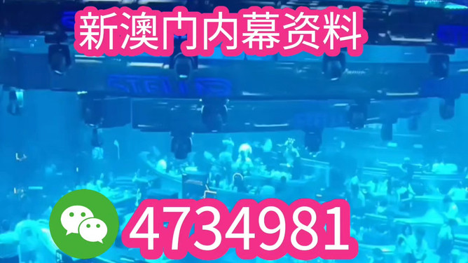 澳門特馬今晚開獎香港，探索彩票背后的文化魅力與未來展望（2025年展望），澳門特馬與香港彩票，文化魅力背后的未來展望（2025年展望）