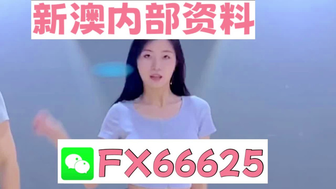 新澳門精準(zhǔn)資料大全——管家婆料解析與探索，澳門精準(zhǔn)資料大全，管家婆料解析與深度探索
