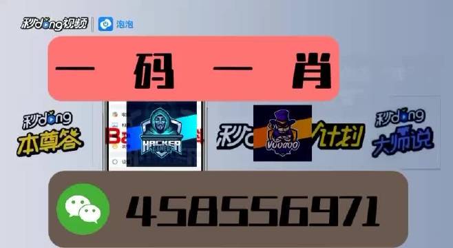 本期一肖一碼王中王，揭秘與探索，揭秘一肖一碼王中王，探索生肖與數(shù)字的神秘聯(lián)系