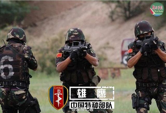 中國(guó)七大特種部隊(duì)，神秘的力量與卓越的能力，中國(guó)七大特種部隊(duì)，神秘力量與超凡能力的展現(xiàn)