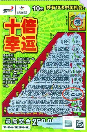 王中王平特一肖好彩頭——揭秘好運背后的秘密，揭秘好運背后的秘密，王中王平特一肖好彩頭解析