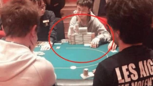澳門四不像論壇精準資料，探索與解析，澳門四不像論壇精準資料深度解析與探索