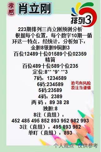 王中王三肖一碼資料，深度解析與SEO優(yōu)化策略，王中王三肖一碼資料深度解析與SEO優(yōu)化策略全攻略
