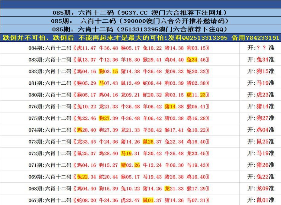 澳門六合正版資料，深度解析與探索，澳門六合正版資料深度解析與探索之旅