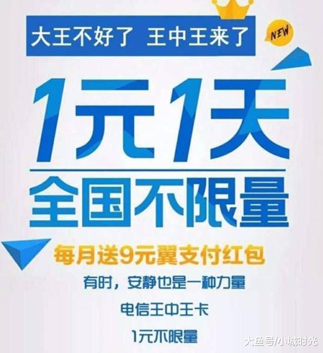 王中王新四不像一肖，揭秘背后的神秘面紗與SEO策略洞察，揭秘王中王新四不像一肖背后的神秘面紗與SEO策略洞察