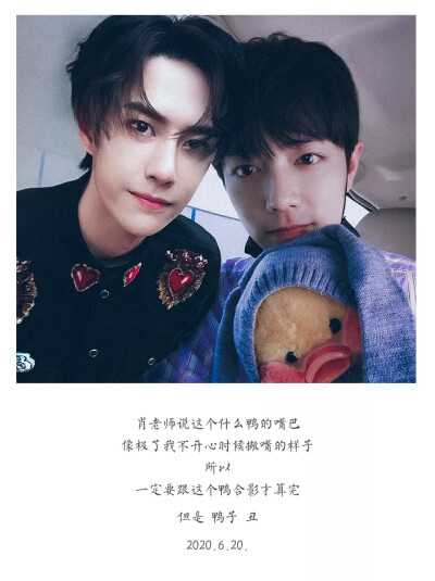 王中王一肖內(nèi)部資料詳解，王中王一肖內(nèi)部資料深度解析