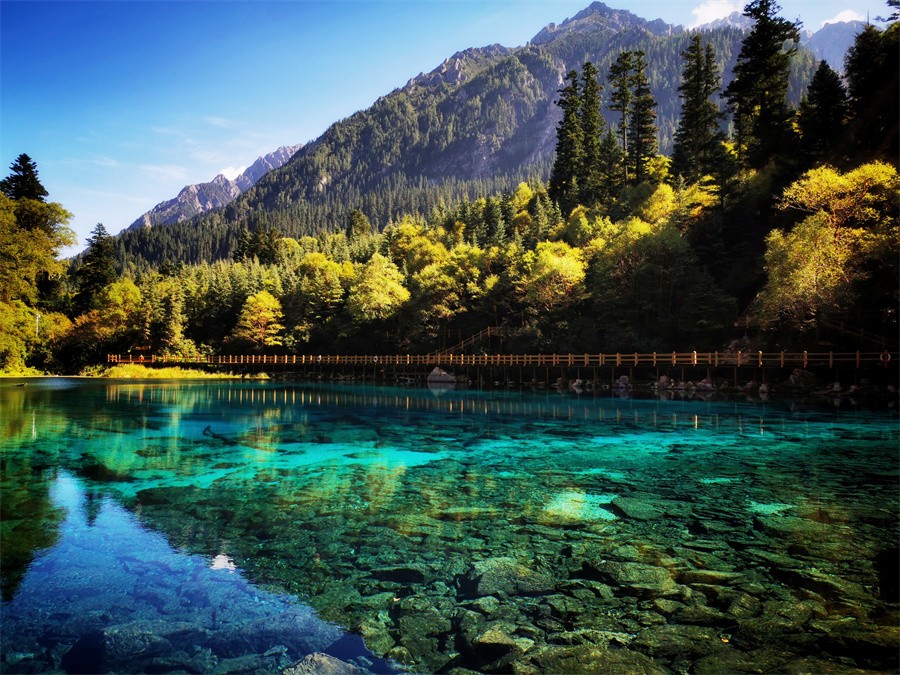 阿壩旅游網(wǎng)，探索九寨溝門票的最佳選擇，阿壩旅游網(wǎng)，探索九寨溝門票的最佳平臺