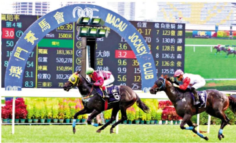 澳門賽馬會，歷史、文化與激情的交融，澳門賽馬會，歷史、文化與激情的盛會