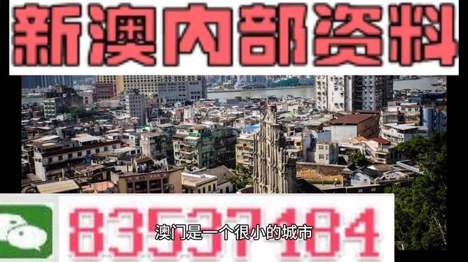 新澳門精準(zhǔn)四肖期準(zhǔn)，探索背后的秘密與策略，澳門精準(zhǔn)四肖期背后的秘密與策略探索