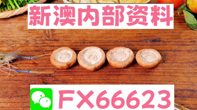 新澳全年免費(fèi)資料大全——探索與學(xué)習(xí)資源的寶庫，新澳全年免費(fèi)資料大全，探索與學(xué)習(xí)資源的終極寶庫