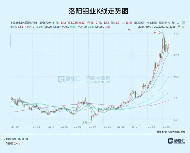 澳門 第59頁