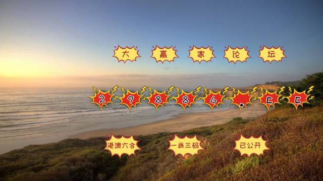 新澳門天天資料，探索與解讀，新澳門天天資料，深度探索與解讀