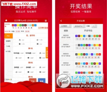 王中王三肖必出一肖，深度解析與探索，王中王三肖必出一肖，深度解析與探索揭秘