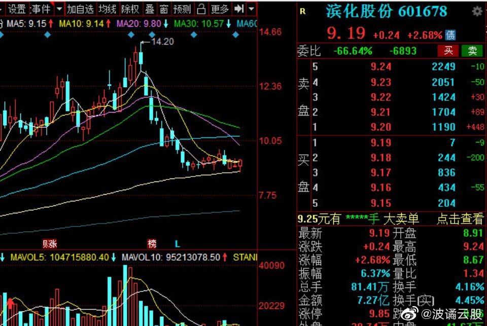 濱化股份股票，深度解析與前景展望，濱化股份股票深度解析及前景展望