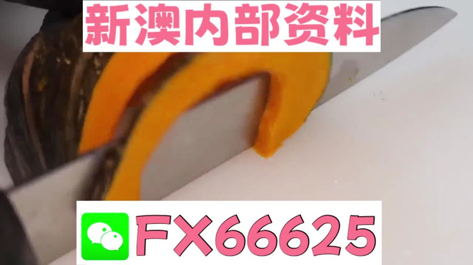 澳門(mén)管家婆，揭秘精準(zhǔn)預(yù)測(cè)的秘密武器，澳門(mén)管家婆揭秘，精準(zhǔn)預(yù)測(cè)的秘密武器全解析