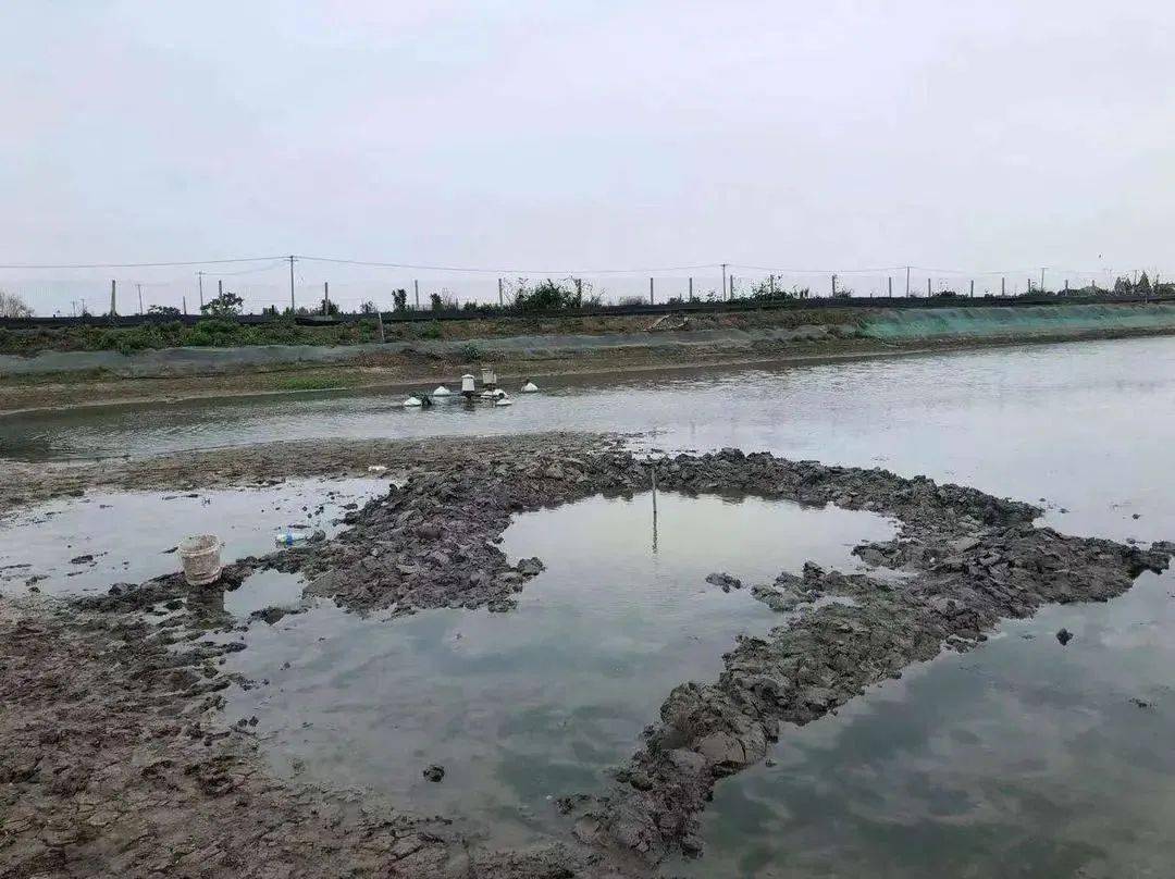 澳門六局中局開獎結果查詢，輕松掌握最新開獎動態(tài)，澳門六局最新開獎結果實時查詢，輕松掌握最新動態(tài)
