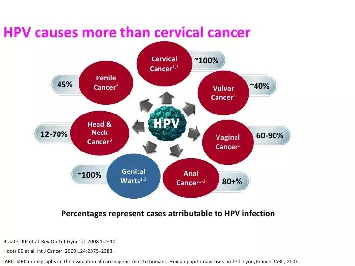 HPV52陽性可以自愈嗎？詳解HPV感染與身體康復(fù)之路，HPV52陽性能否自愈？HPV感染與身體康復(fù)的詳解之路