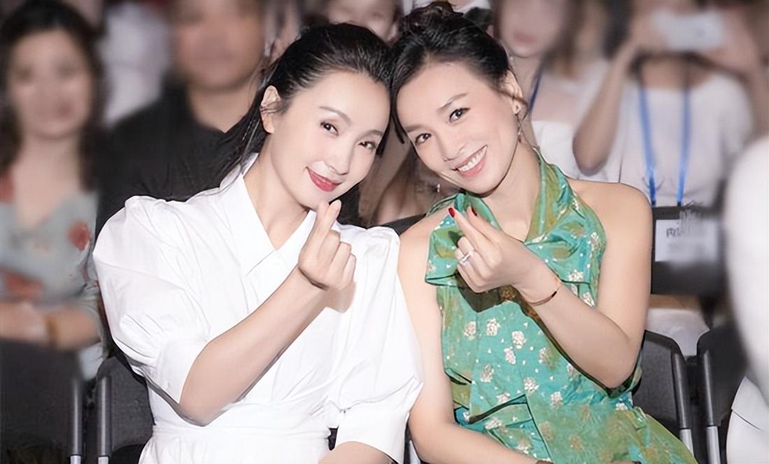 陶虹張庭事件，深度解析背后的真相與影響，陶虹張庭事件深度揭秘，真相與影響探究