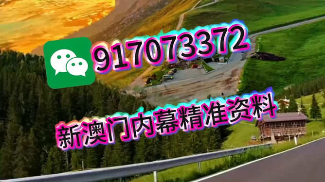 王中王澳門特肖一馬，探索關鍵詞背后的故事與奧秘，王中王澳門特肖一馬，揭秘關鍵詞背后的故事與奧秘