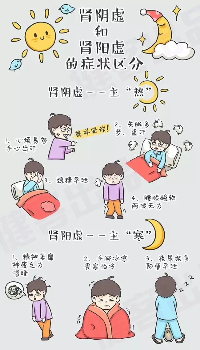 解析腎陰虛與腎陽虛，兩者之間的區(qū)別及理解，腎陰虛與腎陽虛，解析其區(qū)別與理解