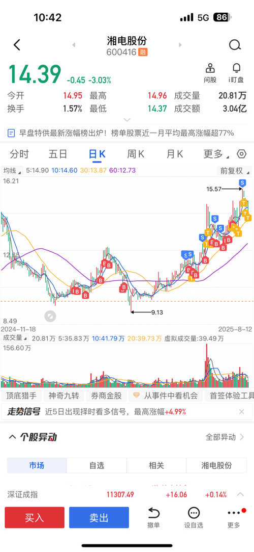 湘電股份股票，深度解析與前景展望，湘電股份股票深度解析及前景展望