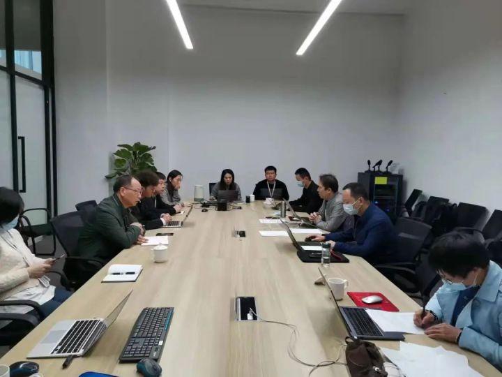 隆平高科股票股，投資潛力與市場前景分析，隆平高科股票投資潛力與市場前景深度解析