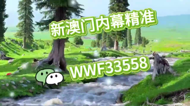 首選王中王打一生肖——揭秘生肖之王的獨特魅力，揭秘生肖之王獨特魅力，王中王所指生肖揭曉