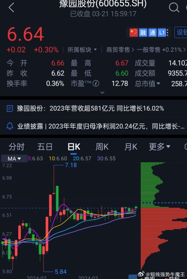 豫園股份股票，深度解析與前景展望，豫園股份股票深度解析及前景展望