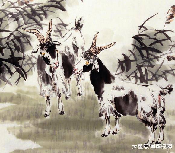 澳門最快開獎六開生肖，揭秘彩票背后的秘密，澳門六開生肖彩票背后的秘密揭曉