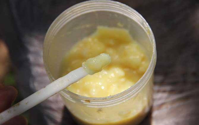 蜂王漿，功效、作用及食用方法詳解，蜂王漿，功效、作用及食用方法全面解析