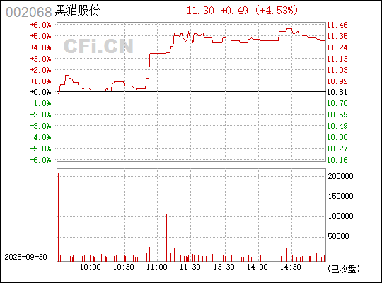 深入了解，關(guān)于股票代碼中的秘密——002068，揭秘股票代碼中的秘密，002068深度解析