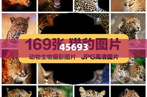 7777888888精準(zhǔn)新管家