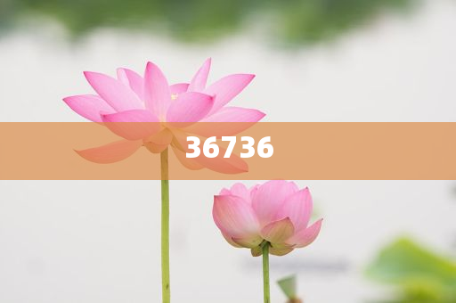 揭秘7777788888精準新傳真，真相大揭秘，揭秘精準新傳真背后的真相，77777與88888的神秘面紗被揭開