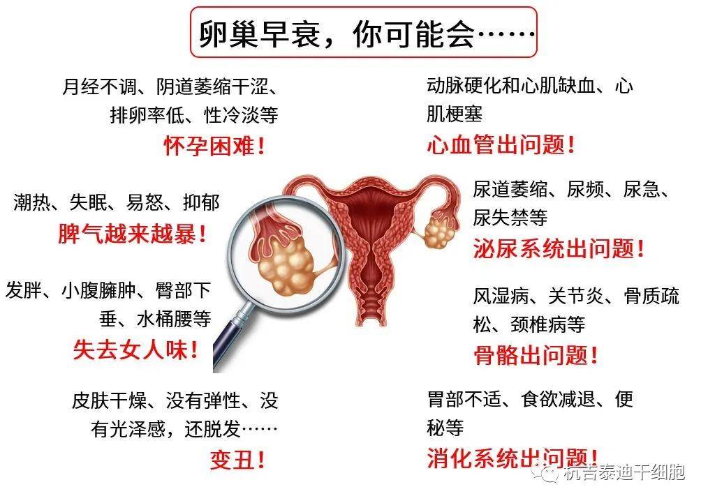 四十歲卵巢早衰能否調整回來？解讀卵巢早衰與應對策略，四十歲卵巢早衰能否調整回來？解讀卵巢早衰現(xiàn)象及應對策略