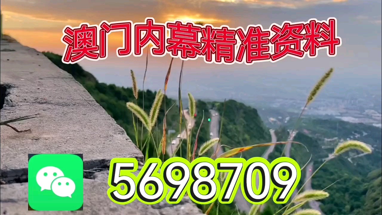 新澳天天開彩資料大全，探索彩票世界的奧秘，探索彩票世界奧秘，新澳天天開彩資料大全