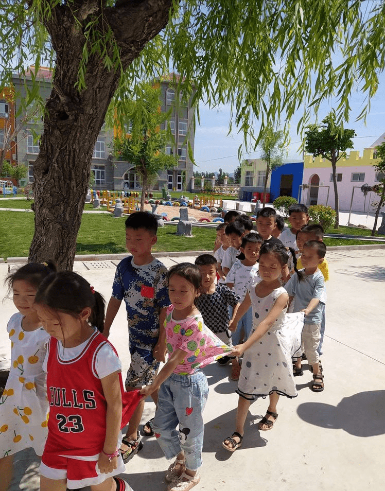 王中王三肖四期必開一肖，解析與預測，王中王三肖四期必開一肖解析與預測報告