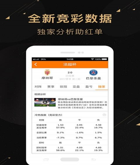 二肖二碼，深度解析與SEO優(yōu)化策略，二肖二碼深度解析與SEO優(yōu)化策略探討