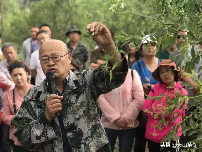 長期吃紅棗的潛在害處，了解并平衡飲食健康，長期食用紅棗的潛在風(fēng)險與飲食平衡的重要性