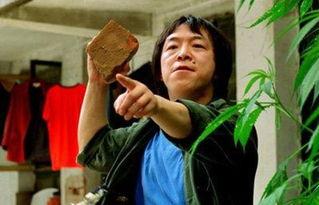 王中王丑中王解一肖，探尋背后的故事與奧秘，探尋王中王丑中王解一肖背后的故事與奧秘
