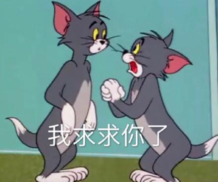 湯姆貓股票股吧，投資熱點與前景展望，湯姆貓股票股吧，投資熱點與未來前景展望